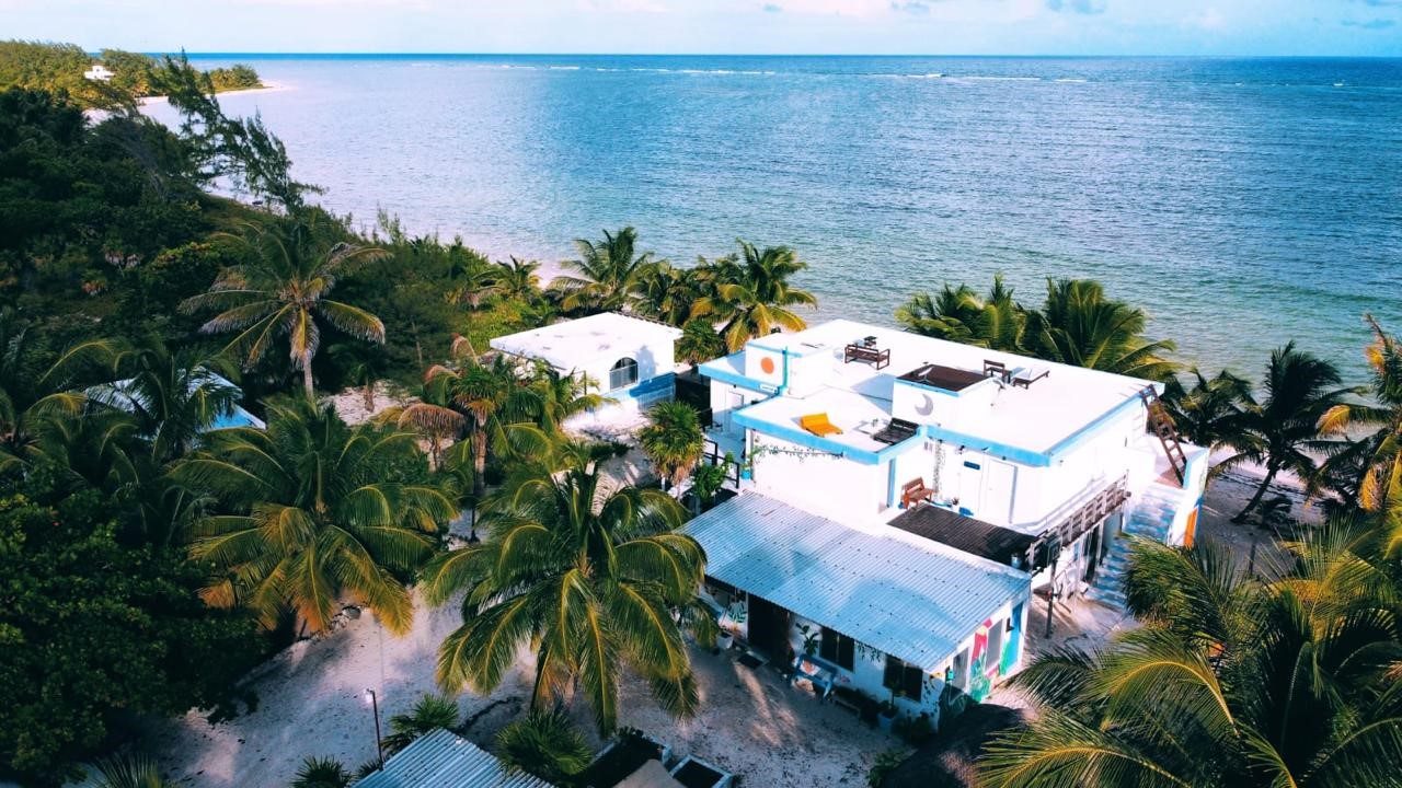 Aerial drone view of Pronoia — jungle, beach, and reef